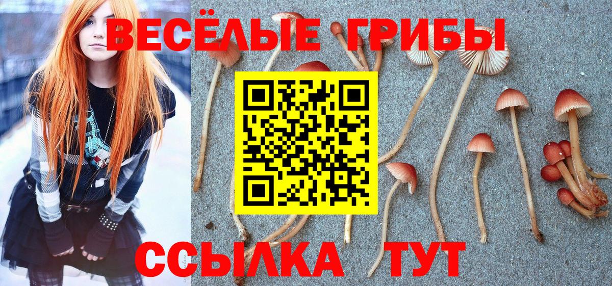 Владимир  Галлюциногенные грибы мицелий  Псилоцибиновые грибы прущие грибы  магазин  наркотиков  Вход с VPN 