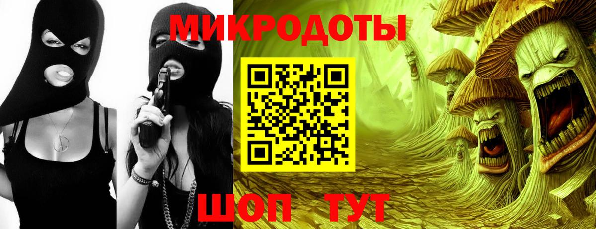 Псилоцибиновые грибы Cubensis Владимир